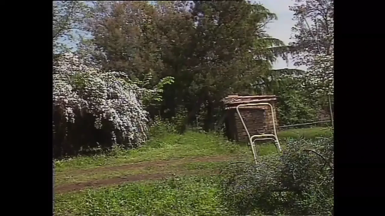 Assicuratrice di Cazzi #2 - scene #03