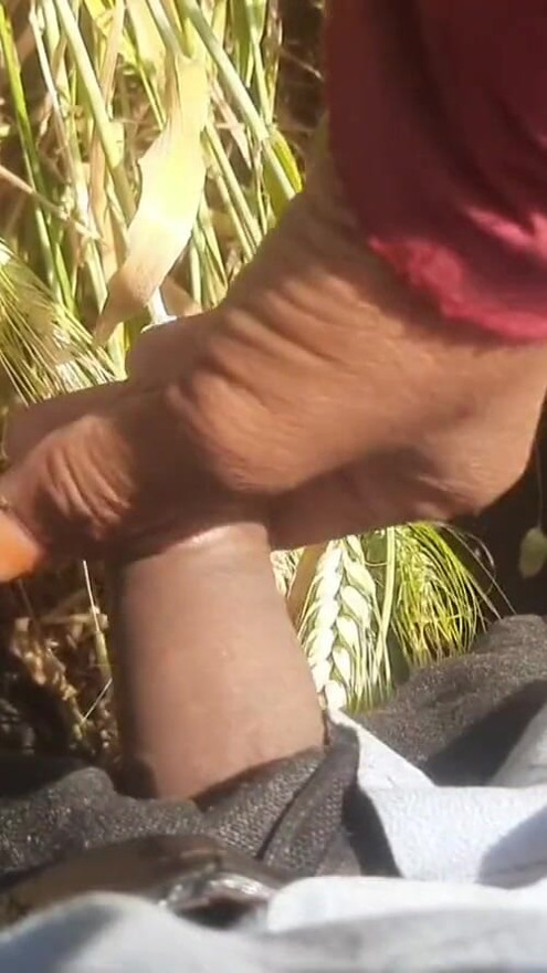 Beautiful sister-in-law cut fodder in the wheat field, brother-in-law fucked big fat ass in sister-in-law's mouth in the open forest | Clip 1