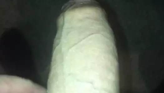 Mi Verga