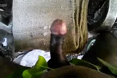 This Is My Dick