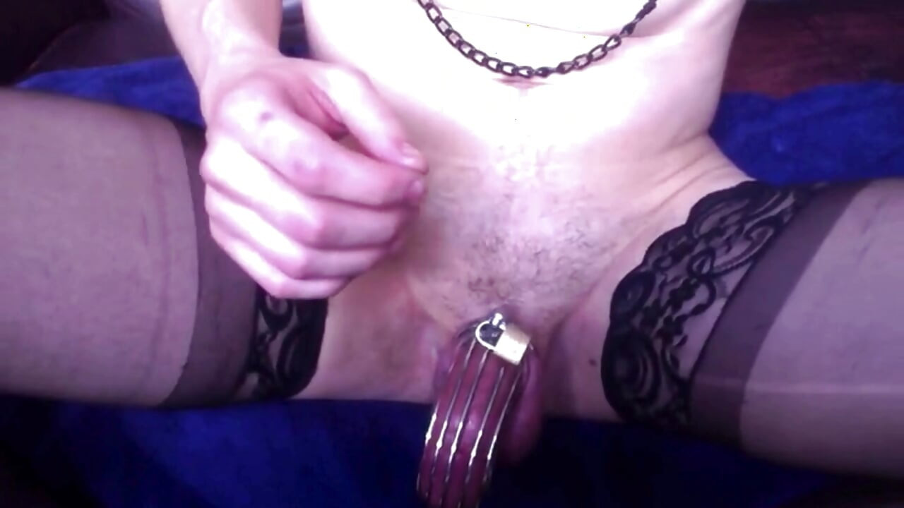 Cage Play With Toys
