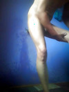 Pregled videozapisa