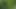 Str8 daddy what are you doing in the forest