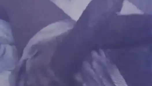 Bbc
