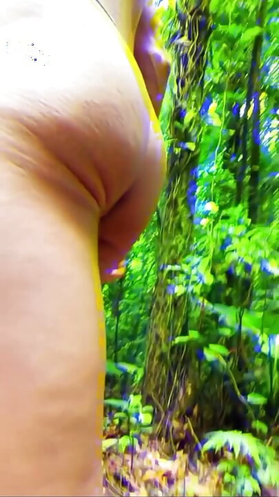 Walking in the Jungle