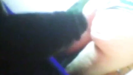haraç için şişman arbain fahişe eş göt
