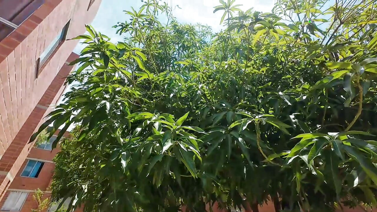 Quebrando a novata ébano no casting ao ar livre, modelo de bunda gostosa, peitos, piercing, magrinha e gostosa, puta que já está no caminho da putaria - Jhodez1