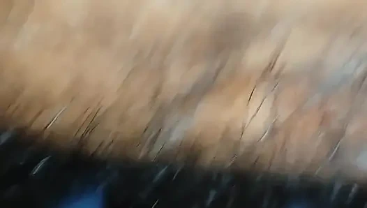 Ngentot gadis manis dengan ngentot pagi hari