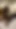 Fucking Huge Black Creamy Ass Doggy on Bed