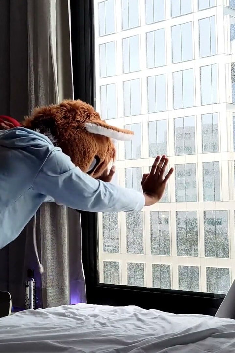 Bareback Femboy Furry Fursuit Fuck in Front of Window