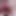 Cum Inside and Creampie Dripping Compilation From Tight Pussys