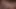 Blindfolded Cow Print Elf - Oiled Big Tits & Creampie Pound