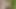 Steamy Girl on Greenery - New Version