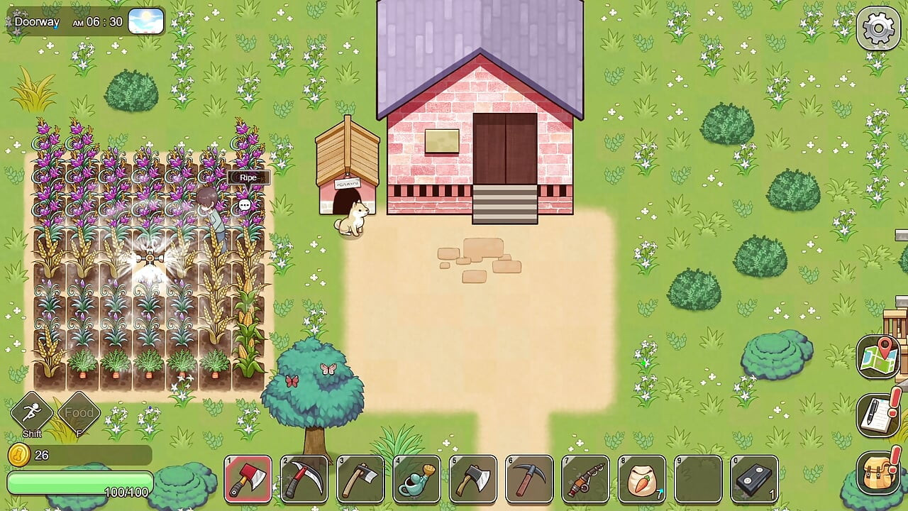 Village Rhapsody - Cachonda Foxy