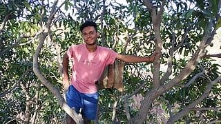 Agriculture, mangue, mangue, vidéo romantique gay en hindi