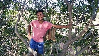 Agriculture Forest Mango tree Gay Romantic video in Hindi language