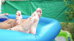 Pregled videozapisa