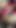 Jaw-dropping moment from "Newly married tanya bhabhi enjoying sex in his bedroom when his husband was not in house."