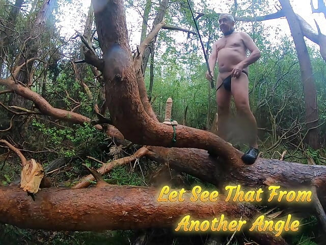 Things You Find in The Woods