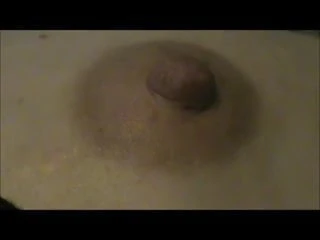Érection du téton de ma patte rouge pâle