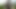Randon Strait best recorded cumshoots