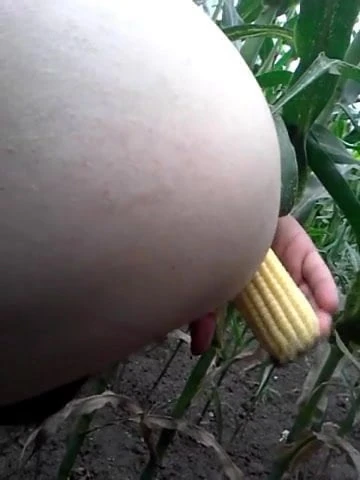 CORN IN MY ASS