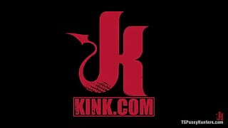 TS Pussy Hunters by Kink