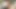 Anal amatör hatunlar ffm üçlü grup sekste amcık ve götten sikiliyor