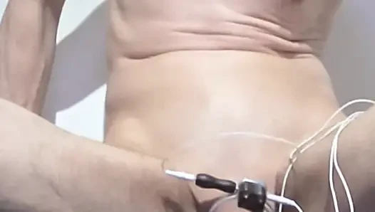 The Puppy Gets Electrosex Milked Until It Explodes