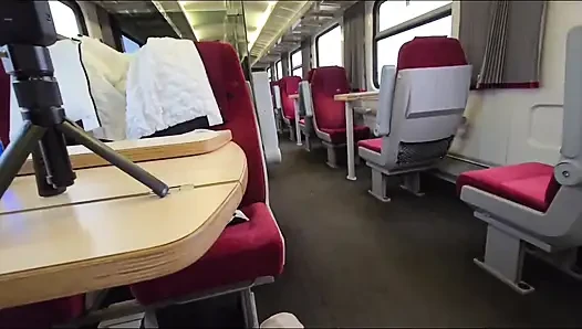 Adrenalin Im Zug. Auf Der Toilette Erwischt.