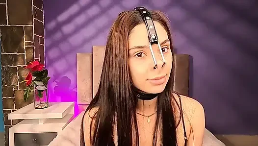 Hidung babi arpone