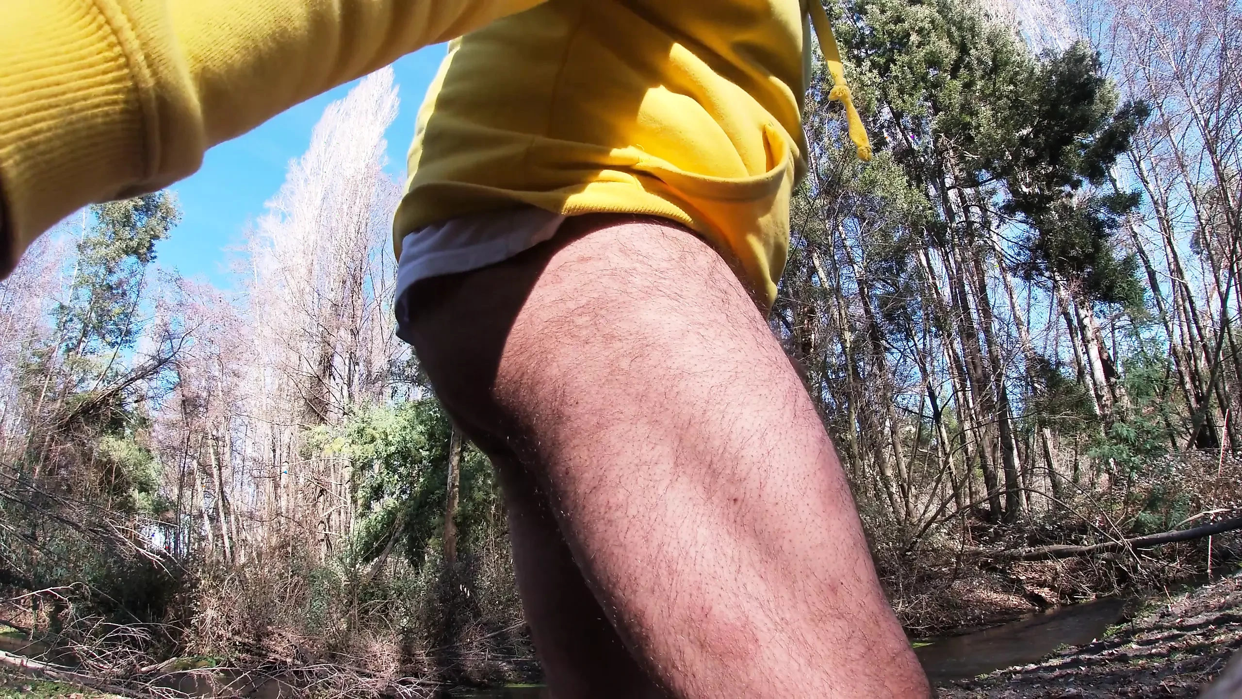 Harige jock streelt harder in het bos en praat smeriger dan ooit - verbale Joi deel 2