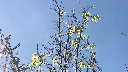 Прохаживаю на сиськах