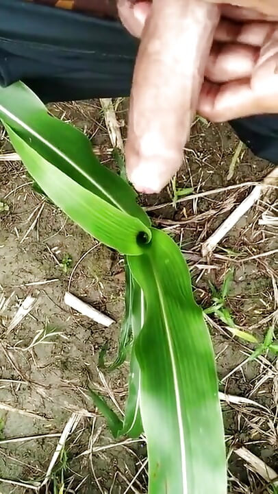 Pissing on Grass in Outdoor