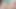 Japanese schoolgirls are naked and masturbating during the c