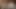 素人は両側から一つのチンコをしゃぶる