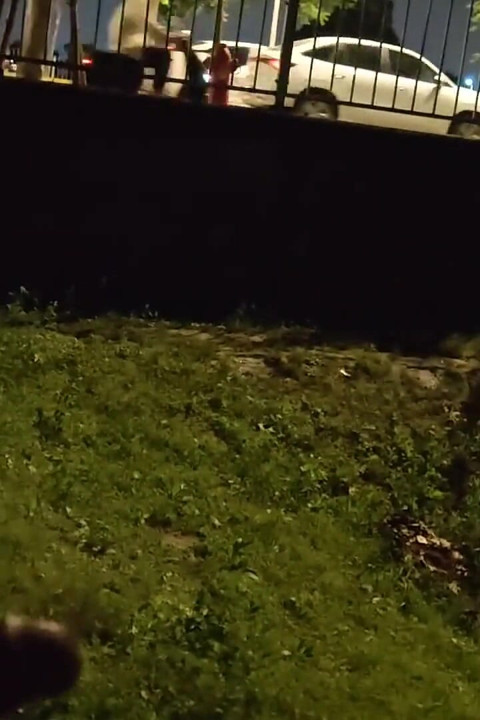 Jerking off with Bare Ass Next to a Busy Road and Cumming