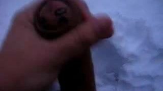 Cock in snow 2