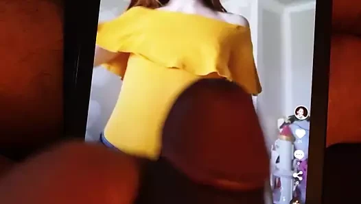 haraç