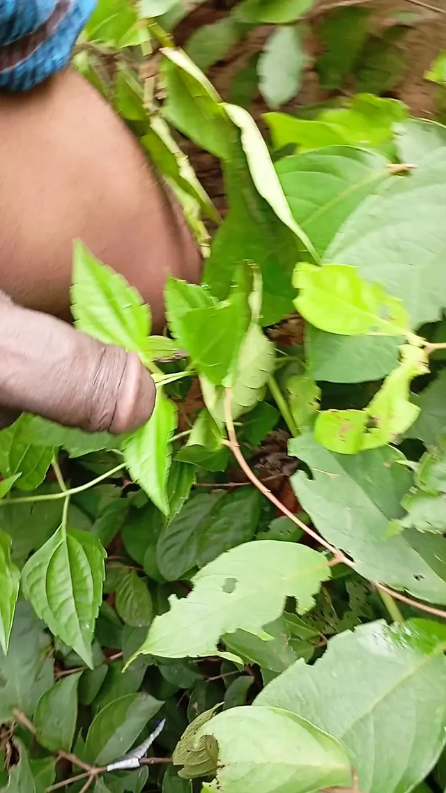 Today new sexy video