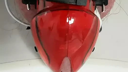 Bekaret estim işiyor