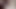 Indian Desi Long Thick 9 Inch Cock