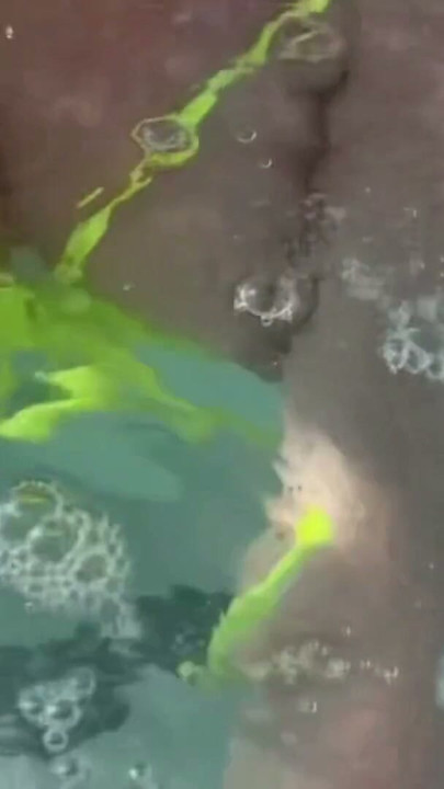 Artemisia Love flashing her juicy big tits underwater for you wearing a sexy bikini | Clip 1