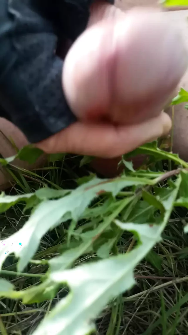 Wanking with a thistle in the forest