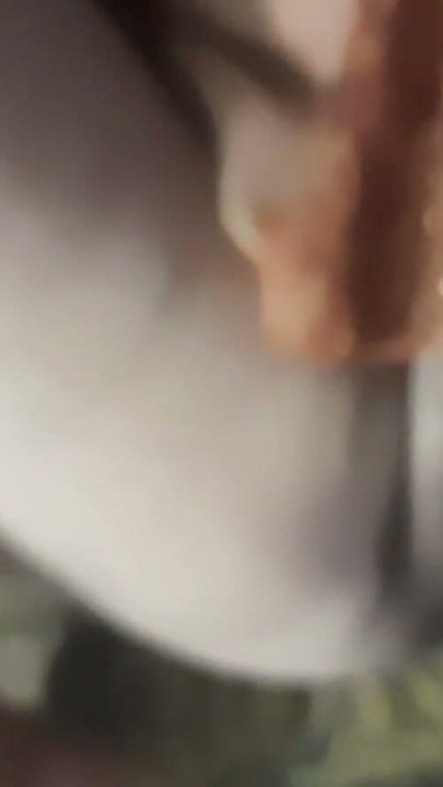 Desi bhabhi's big collared pussy fucked by pressing big tits quenched thirst | Clip 1