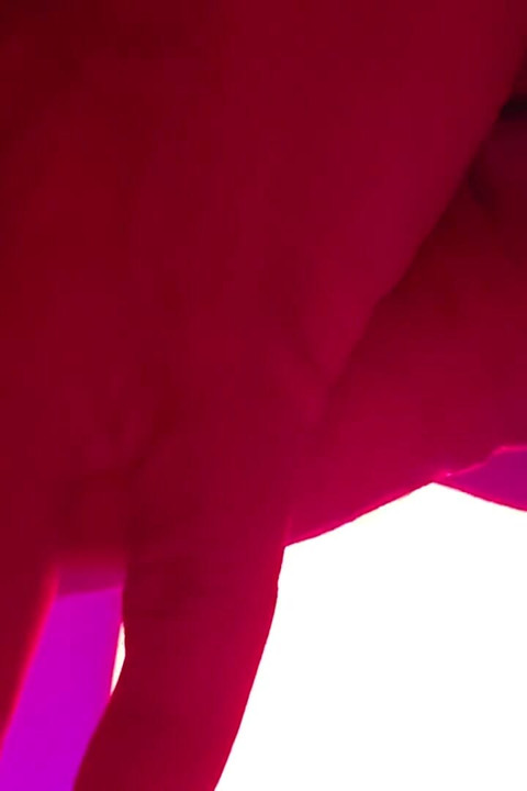 Trans Licking an Hot Ass