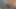 AndoliniXXL.com - ごっくん魚