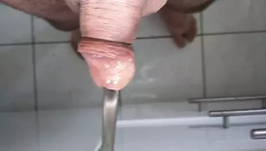 benim horoz sondaj