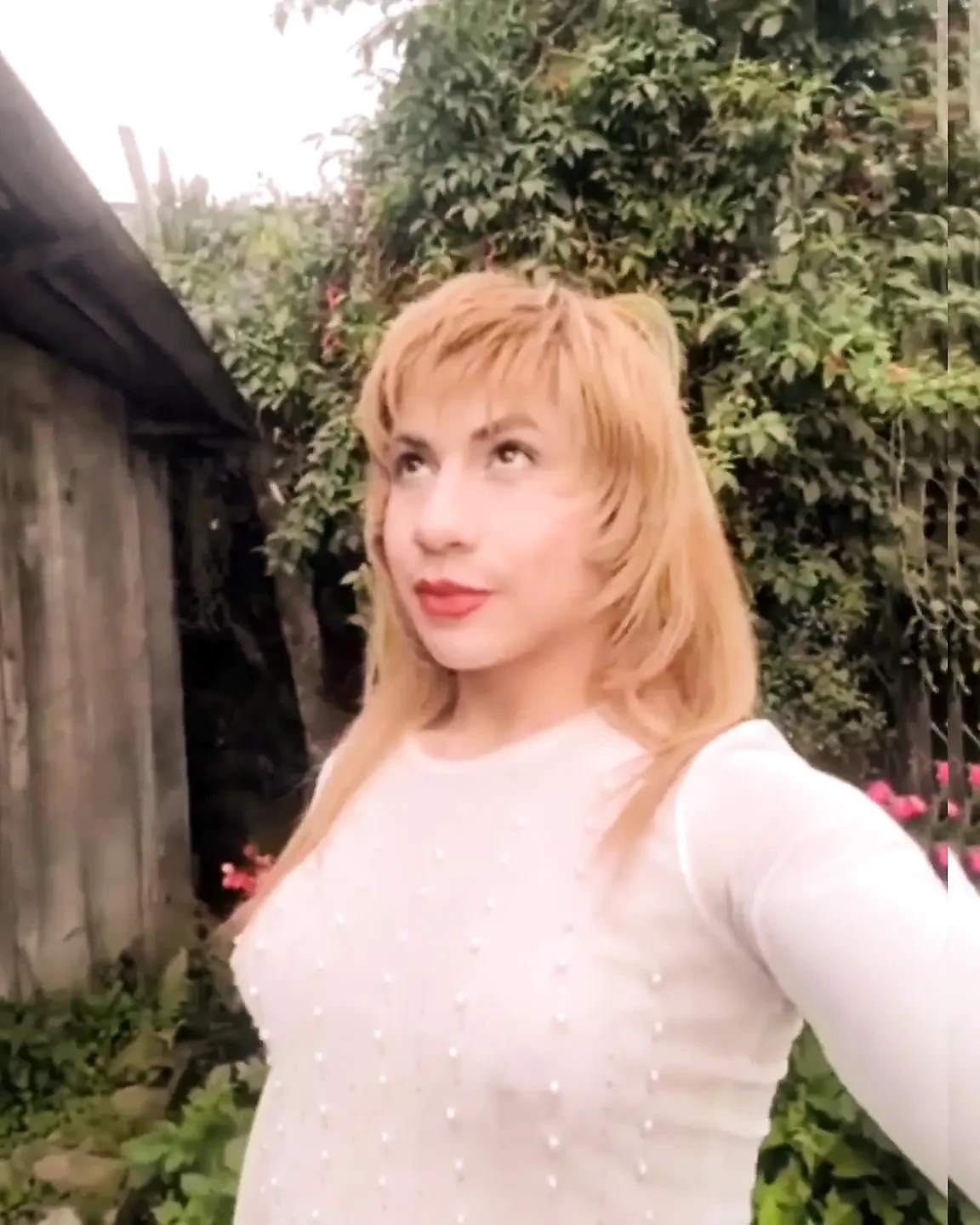 Live-Show am 11. November