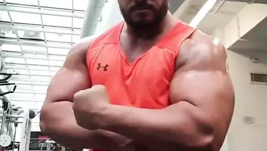 Düz alfa nakit tanrısı